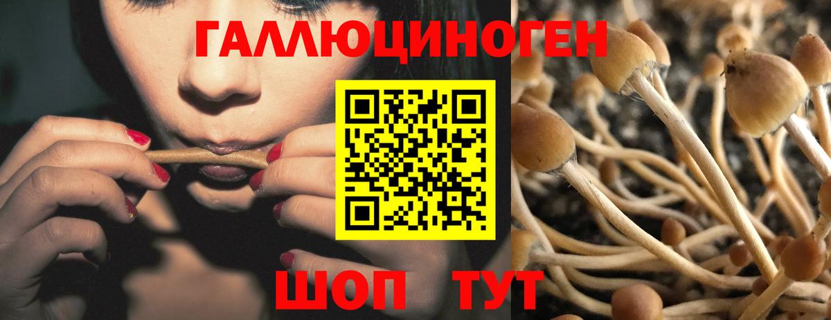 Галлюциногенные грибы ЛСД  Вход с VPN  Гусев  Псилоцибиновые грибы MAGIC MUSHROOMS 