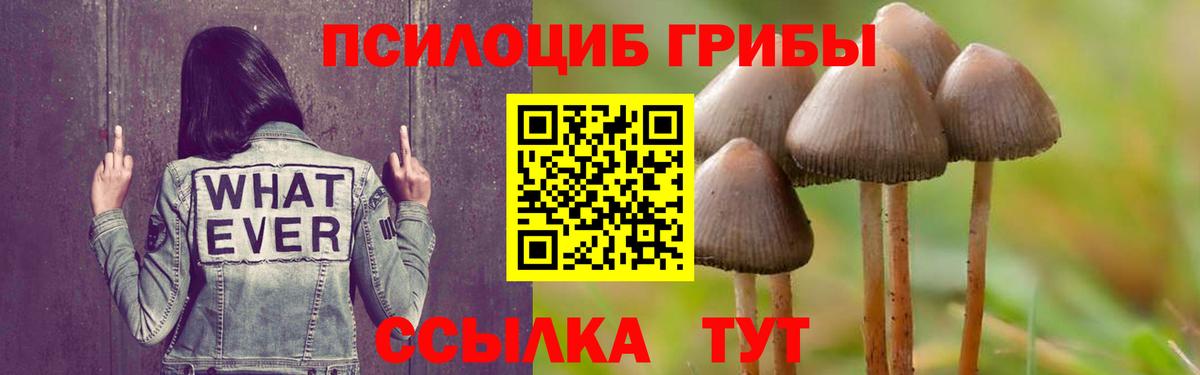 Галлюциногенные грибы мухоморы Гусев