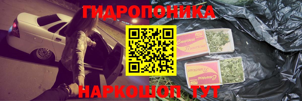 Каннабис сатива Гусев